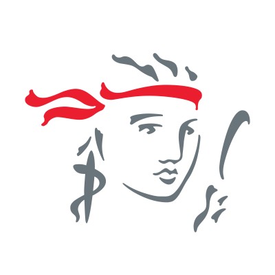 Senior Manager IT Governance Lead
