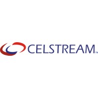 Software Engineer