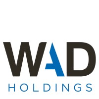 Business Analyst