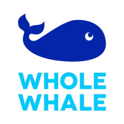 Analytics Strategy Manager