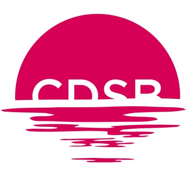 Senior Communications Executive