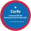 Profesional de apoyo