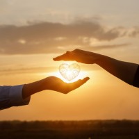 Trauma-Informed Family Mediator and Holistic Health Practitioner