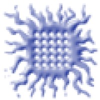 Radiation Safety Officer