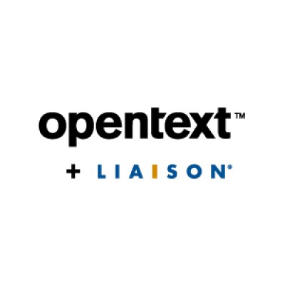 Business System Analyst