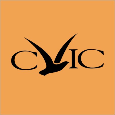 Violence Intervention Advocate
