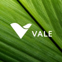 Implementation Manager - S11D Program (opening of Vale's main iron ore extraction mine)
