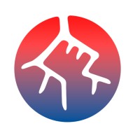 Project Manager