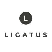 Consultant