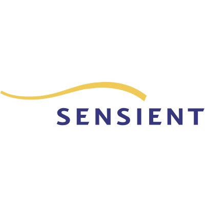 Knowledge Manager (Business Analyst | Project Manager)