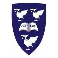 Intern Veterinary Surgeon