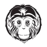 Graphic Web Designer