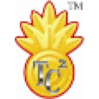 Cyber Security Trainer