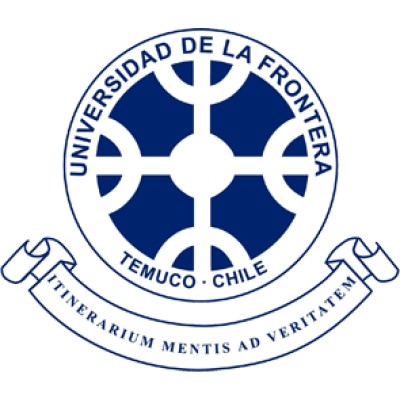 Profesional VRIP