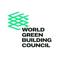 Chair MENA Regional Network