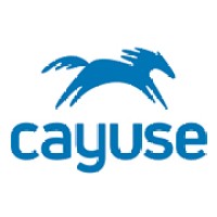 Principal Software Engineer