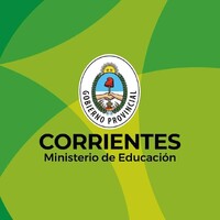 Professor docente