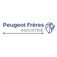 DIRECTEUR BRANDING PEUGEOT