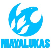 Senior Paid Search Manager