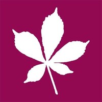 Capital Funding Manager (Project Manager)