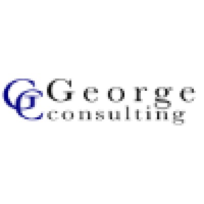 Cyber Security Analyst