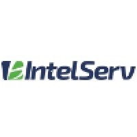 Systems Analyst