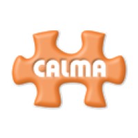 Analista Programador .Net