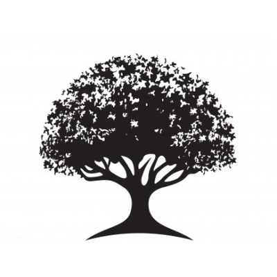 Managing Partner - Atalaia Research