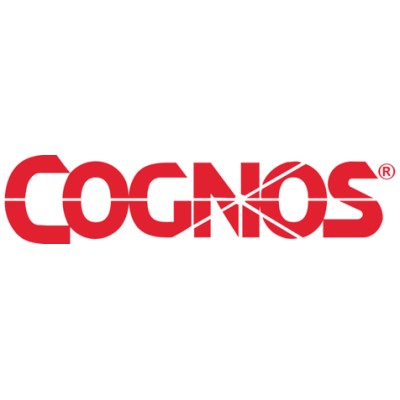 Senior Business Intelligence Consultant