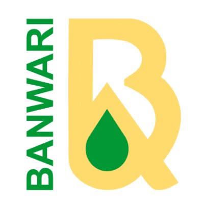 Business Development Executive