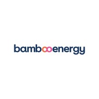 Business Developer Manager