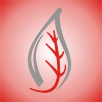 Team Lead Business/Product Development