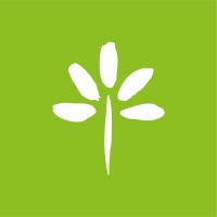 Medico Adjunto de Urologia