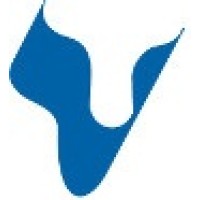 Technical Team Lead