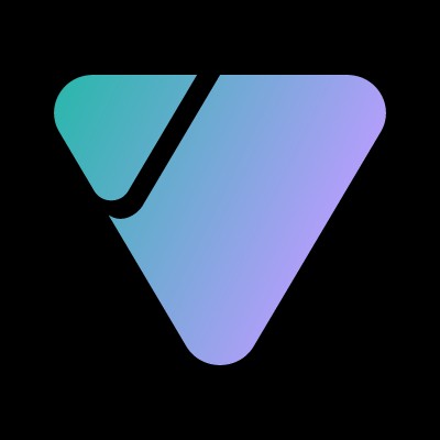 Software Developer