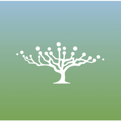 Digital Strategist-NFT collection for impact
