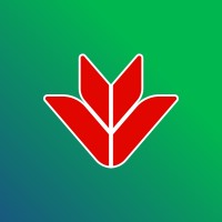 Internal Audit Senior