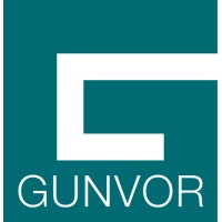 Information Technology Auditor