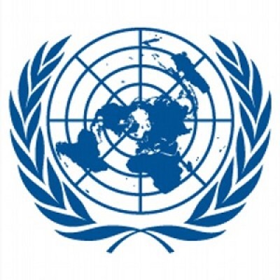 Social Media and Communications Consultant