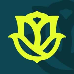 Founder / Director 