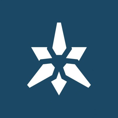 Cyber Security Consultant