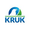 Database Developer