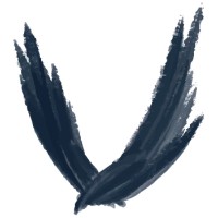 Senior Developer