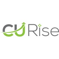 Lead UI UX & Frontend Designer