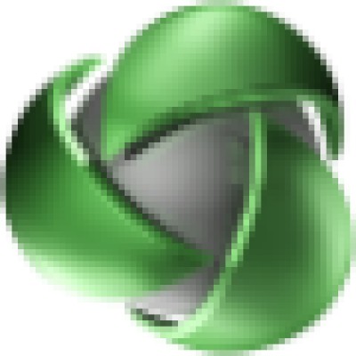 Senior Manager/CFO