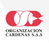 Director Logistica