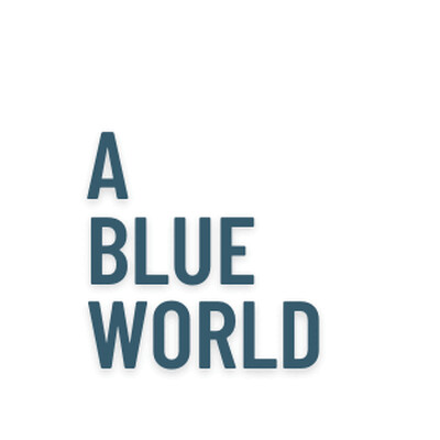 Senior Project Manager