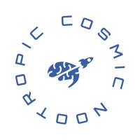 Management Consultant