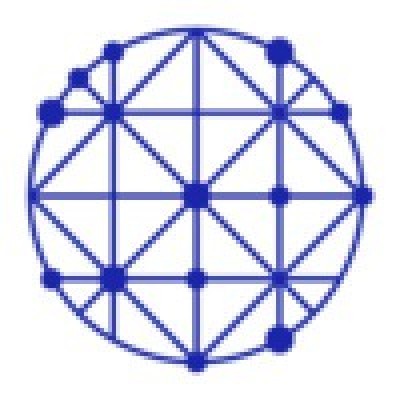 Senior IT Project Manager