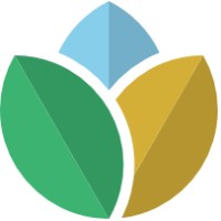 Technical Consultant - Volunteering